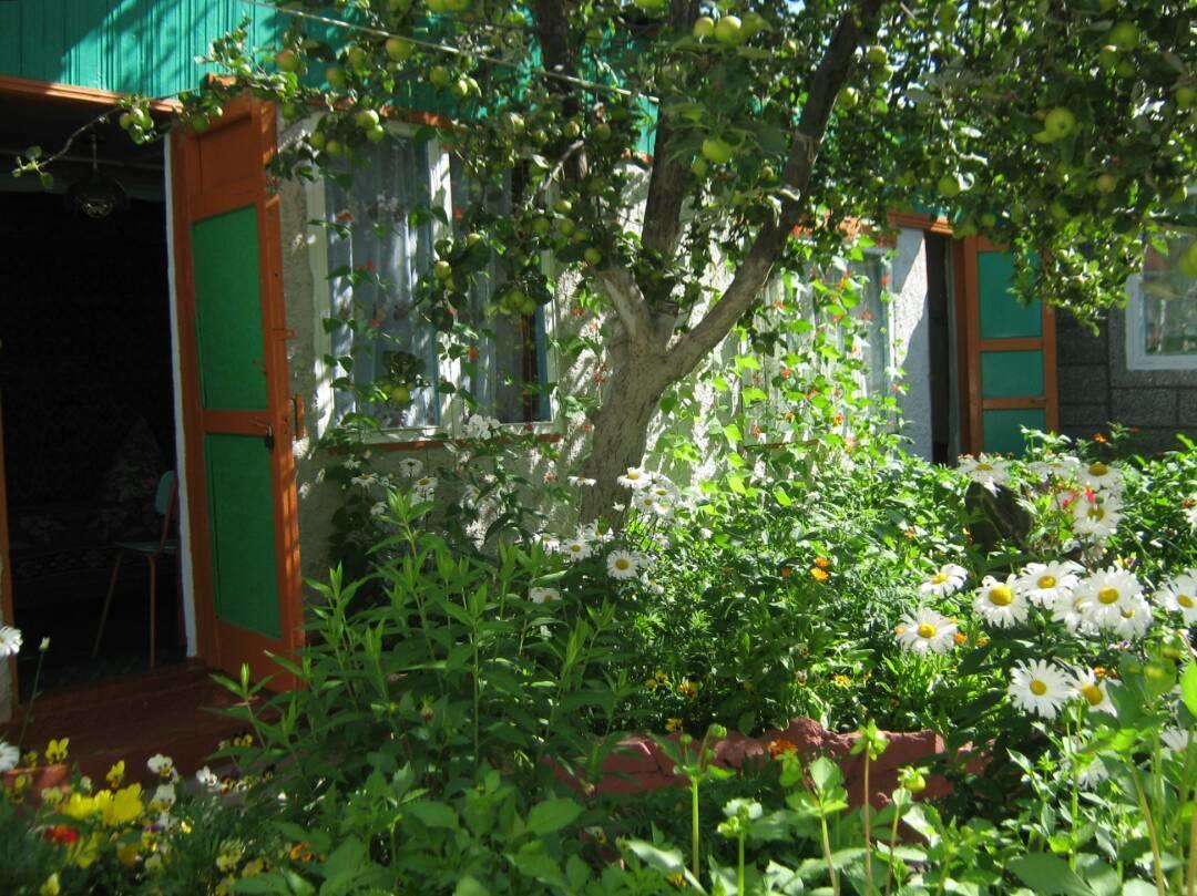 Olga Guest House Cholpon-Ata Luaran gambar