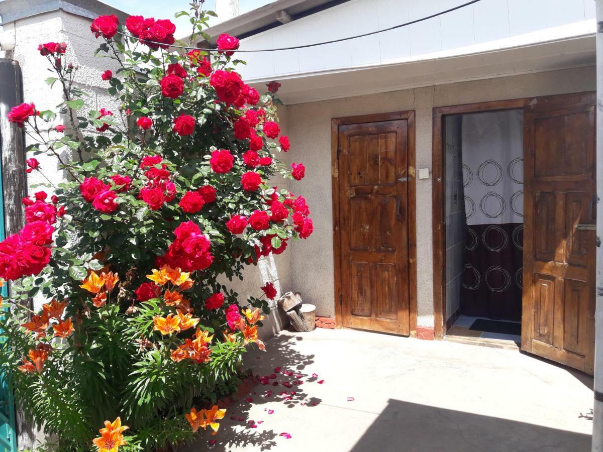 Olga Guest House Cholpon-Ata Luaran gambar