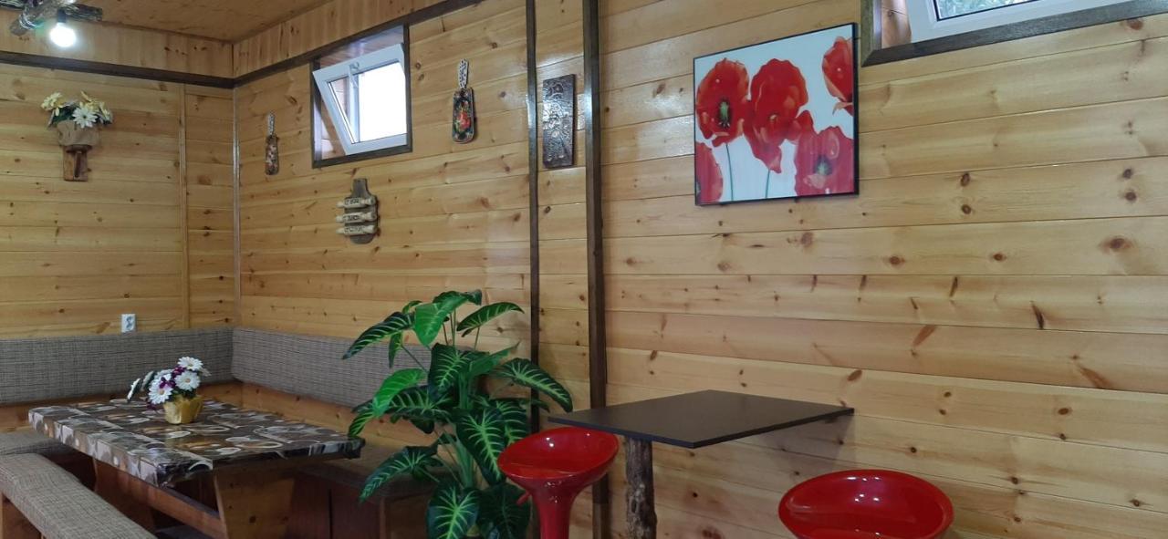 Olga Guest House Cholpon-Ata Luaran gambar